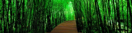 财库财运：打过胎必须得还阴债吗 ／还阴债补财库的基本给烧多少