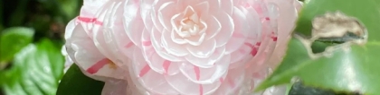 财库财运：看手相的说我事业容易受阻怎么办,教你3个化解方法,事业财运旺
