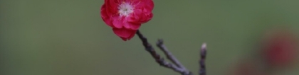 道教法事：噩梦连连怎么调理,先来看我们为何会噩梦连连,才能进行化解