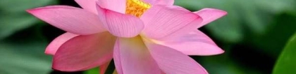 还受生债：还了阴债有哪些感应器 ／自己还阴债还是让仙家帮你还