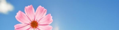 旺姻缘：有什么方法可以招桃花？