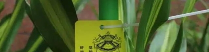 姻缘和合：和合法事挽回异地男友,和合术可以挽回分手的男