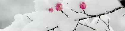 旺姻缘：道家不传秘法——催桃花，催婚姻，催子女