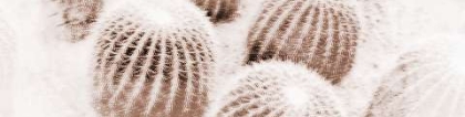 斩烂桃花：烂桃花风水可以通过这些摆件化解