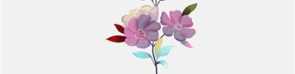 旺姻缘：求姻缘最有效的方法有哪些？客厅摆什么花寓意好 ？