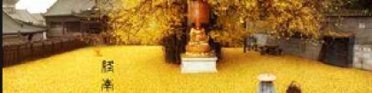 民俗文化：民间简单破解犯小人方法，步骤少，见效快
