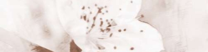 斩烂桃花：你知道怎么做可以斩烂桃花吗？
