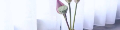 道教法事：事业受阻不顺利怎么转运,三招帮你开运化解厄运