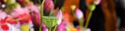 还受生债：还阴债怎么还阴债的方法步骤 还阴债上午还是
