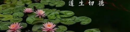 还受生债：还阴债必须本人在场吗