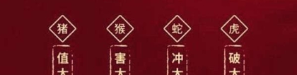 化太岁：冲太岁